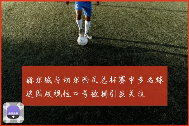 赫尔城与切尔西足总杯赛中多名球迷因歧视性口号被捕引发关注
